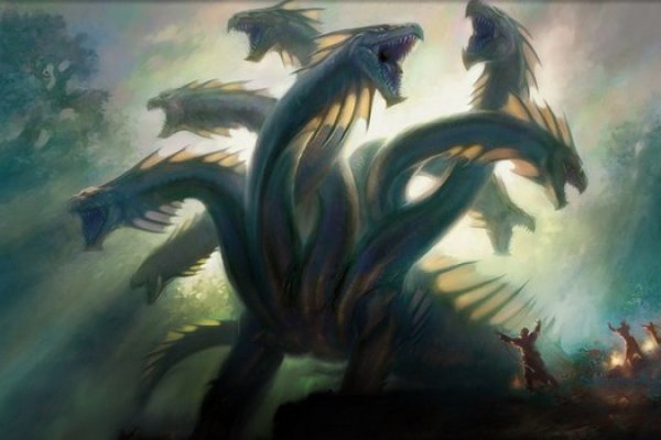 Kraken onion link